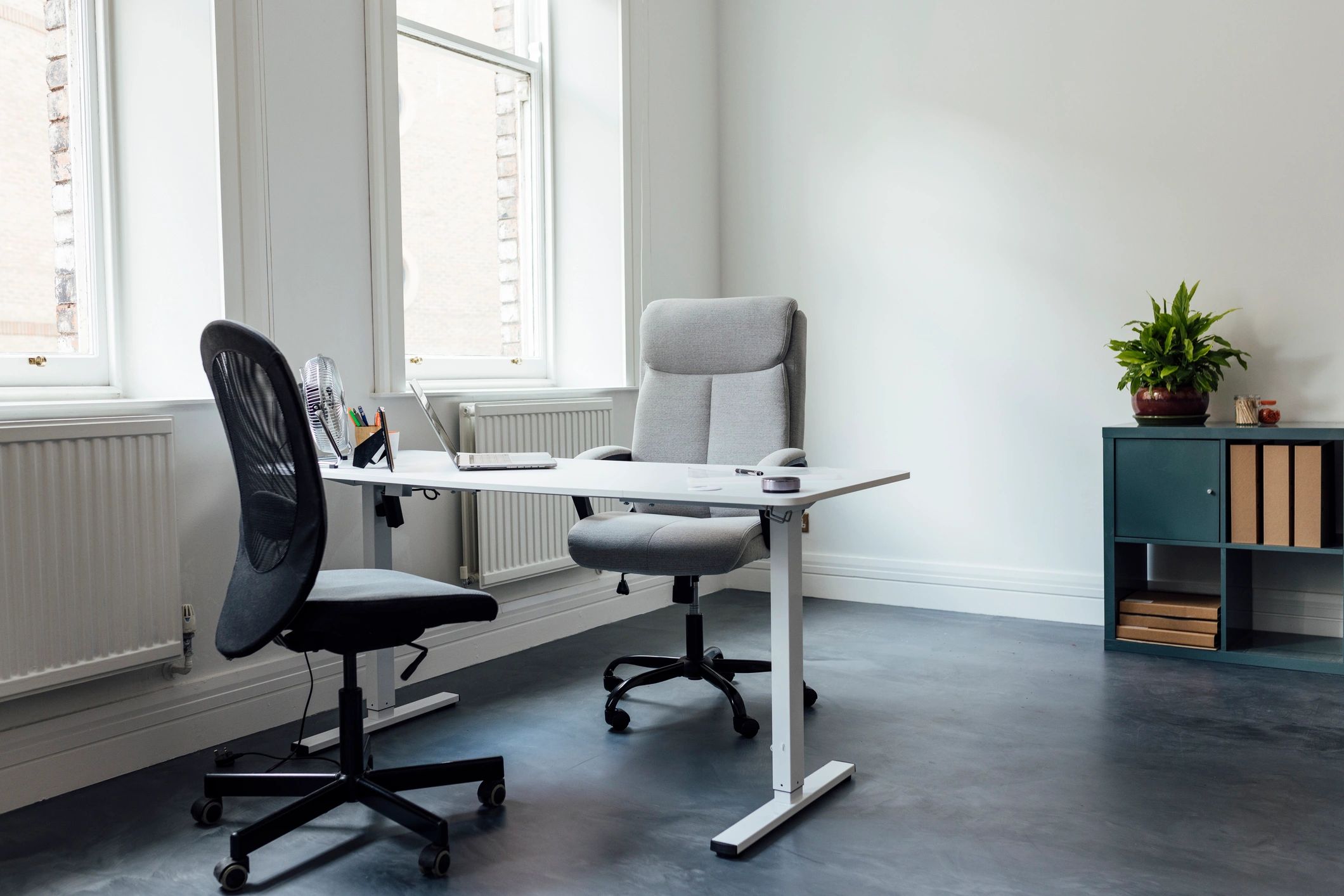 Professional commercial office interior